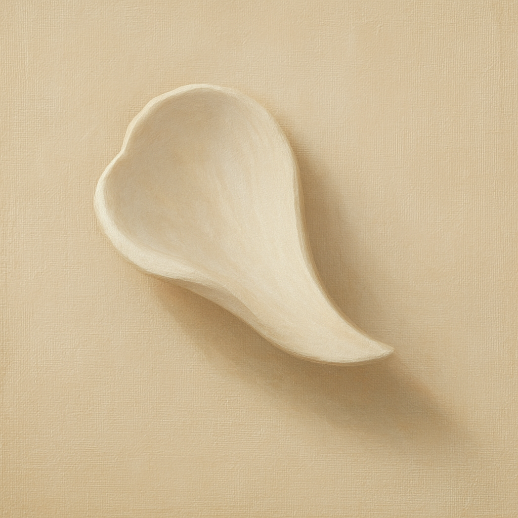 Sculpted Ivory Floral Contour No. 1 - Modern Fine Art Oil Painting - View 1